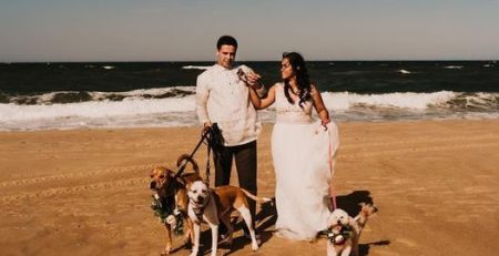 barong tagalog dresses